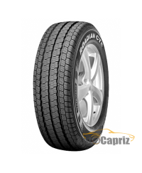 Roadstone Roadian CT8 205/75 R16C 113/111R